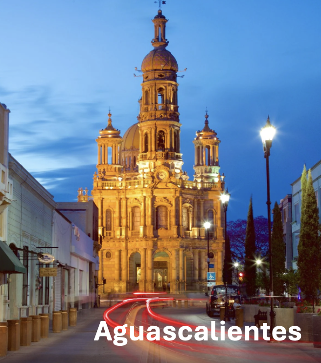 Visit aguascalientes