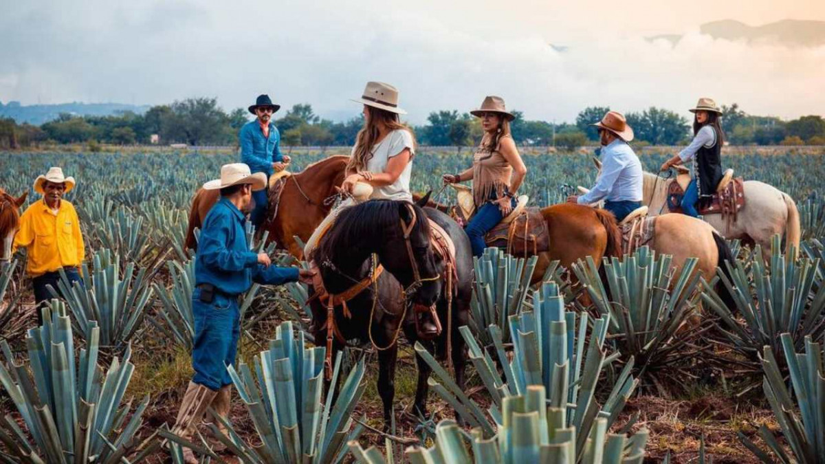 Ruta del Tequila
