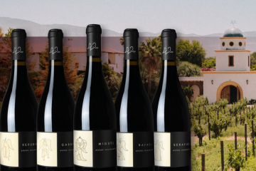 Vinos adobe guadalupe