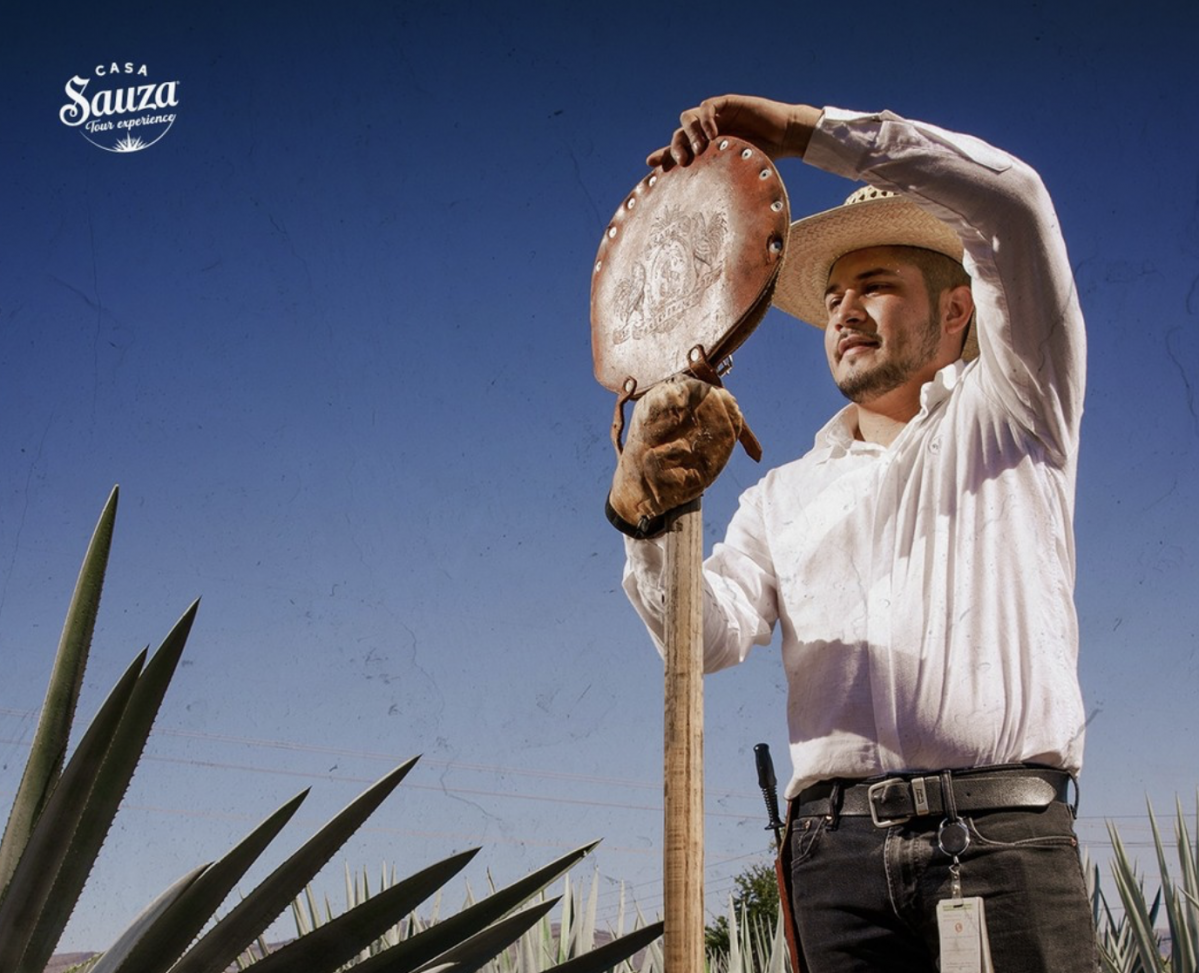 Tours tequila jalisco 