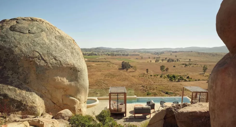 Banyan Tree Veya Valle de Guadalupe